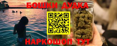 гашик Бийск