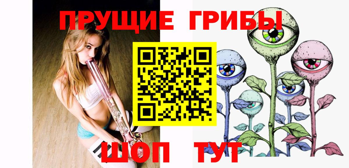 Кингисепп  цена   Вход с VPN  Псилоцибиновые грибы MAGIC MUSHROOMS 